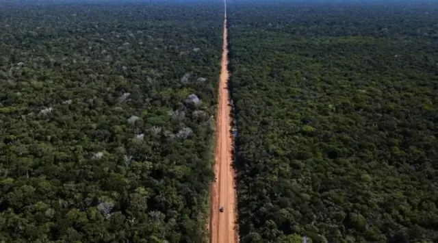 Foto de estrada cortando floresta amazônica