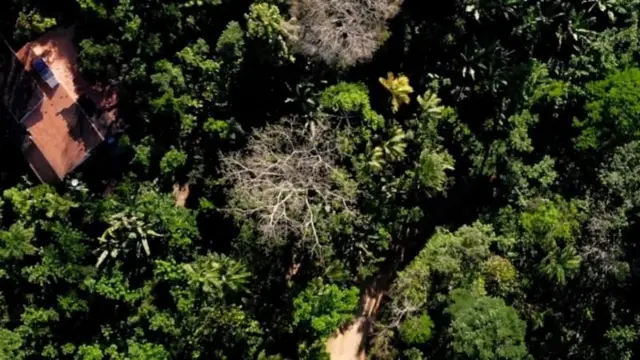 Casa em meio a agrofloresta