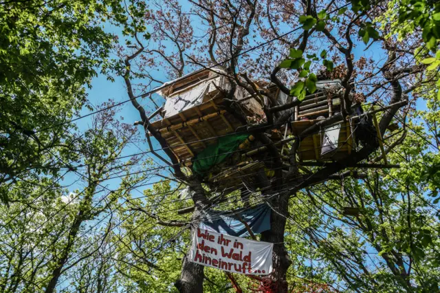 Casa en un árbol.