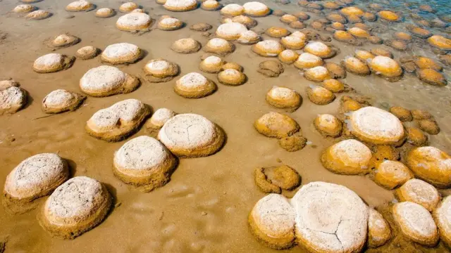 Trombólitos do Lago Clifton