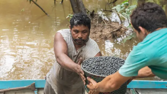 Perto de rio, um homem passa cesto com açaí para outro