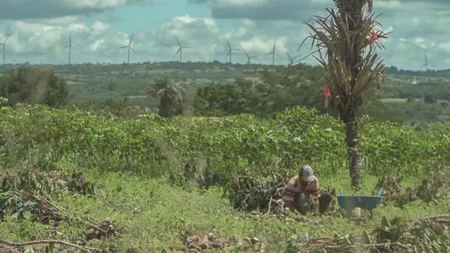 torres e agricultor em Caetés