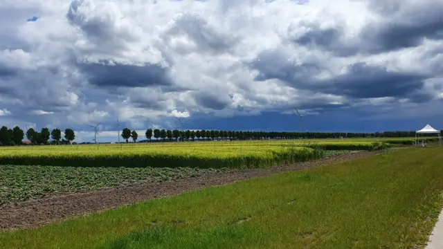 Fazenda do Futuro