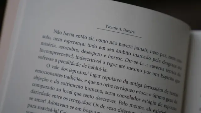 Trecho de livro que diz: 'Não havia então ali, como não haverá jamais, nem paz, nem consolo, nem esperança: tudo em seu âmbito marcado pela desgraça era miséria, assombro, desespero e horror'