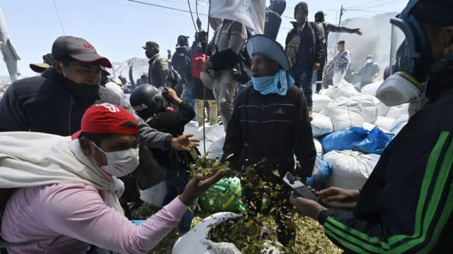 Produtores de coca em protesto