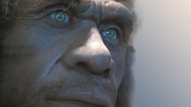 Neandertais eram bem mais evoluídos do que se imagina