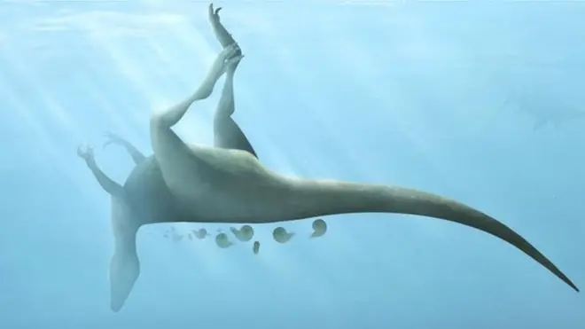 Artist's impression of Vectaerovenator inopinatus