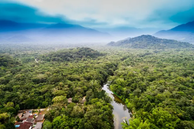 Floresta Amazônica