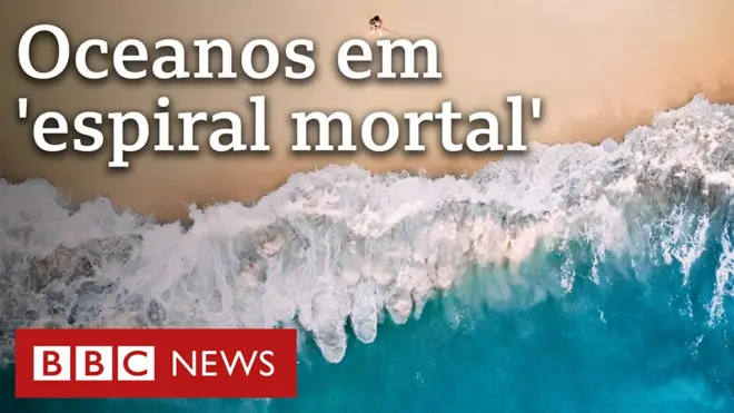 Conferência da ONU joga luz sobre a importância dos ecossistemas marinhos, profundamente ameaçados pelas mudanças climáticas.