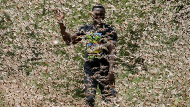 A man runs through a desert locust swarm