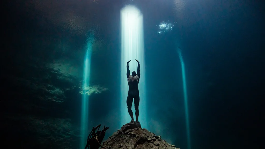 Diver looks as an alligator swims past