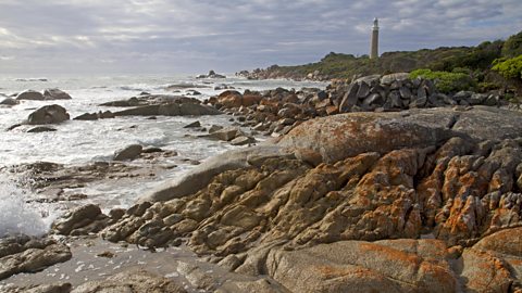 Colourful coastline on Flinders Island, part of the Furneaux island group