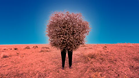 How tumbleweed became the fastest invasive species