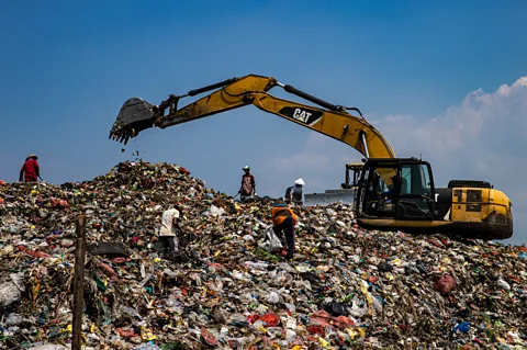 Robertus Pudyanto / Getty Images Industrial chemicals known as PCBs linger in landfills and escape into the marine environment, damaging mammals' reproductive systems (Credit: Robertus Pudyanto / Getty Images)