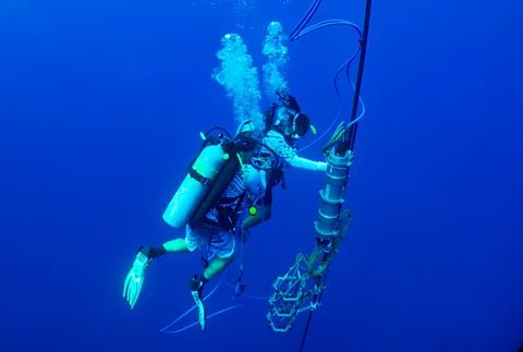 Dan Tchernov Scientists placed hydrophones in the ocean to collect recordings of sperm whale vocalisations (Credit: Dan Tchernov)