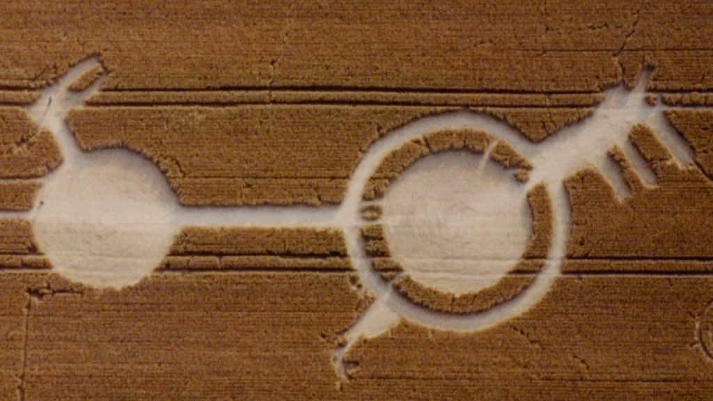 Crop circles in a field near Salisbury, UK, 23rd July 1990