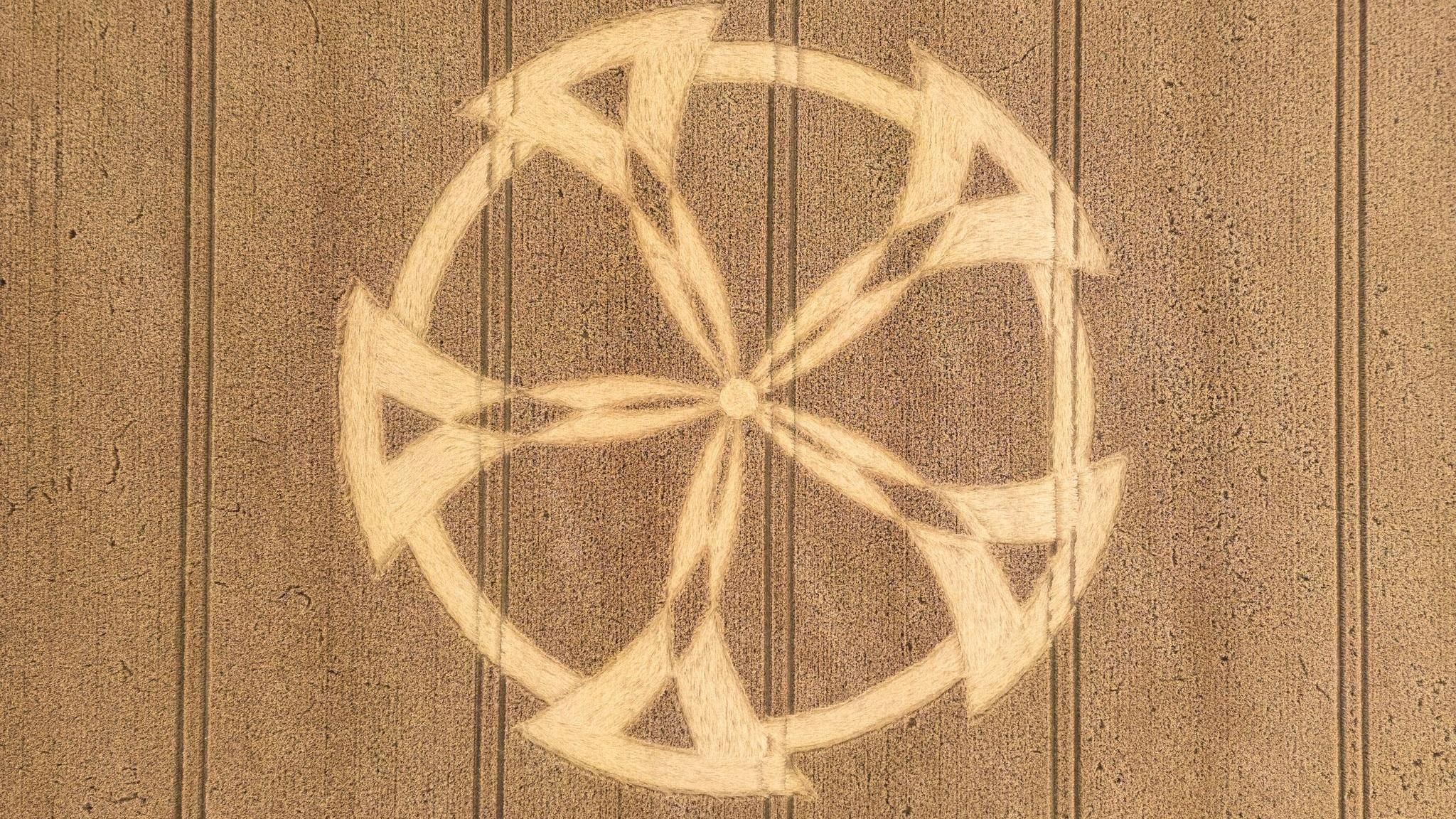 View of the crop circle from above