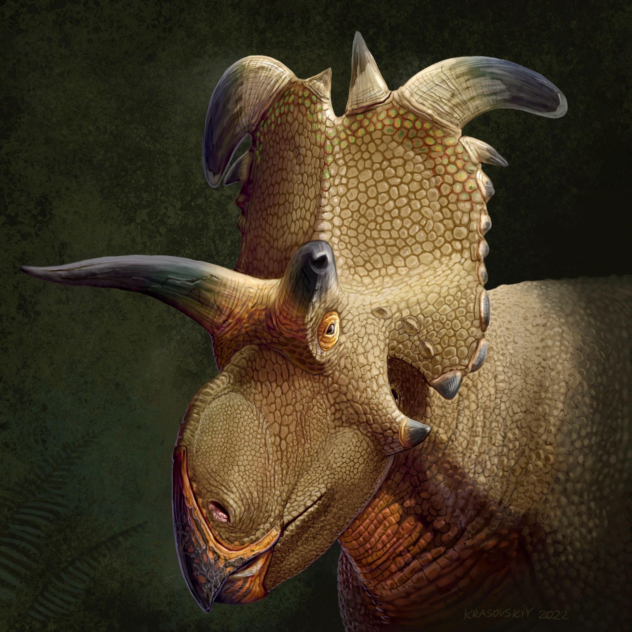 lokiceratops dinosaur artist's impression