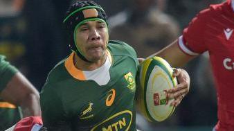 Cheslin Kolbe in action against Wales