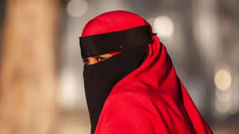 Portrait of a somali woman wearing a niqab, Woqooyi Galbeed region, Hargeisa, Somaliland on November 19, 2011 in Hargeisa, Somaliland