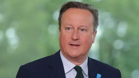 David Cameron 