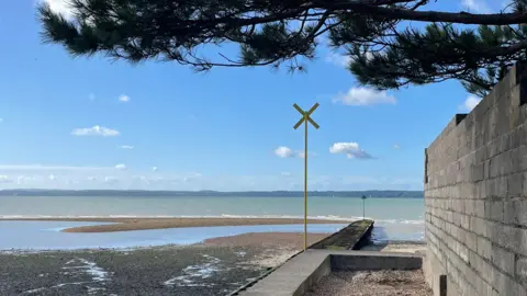 A tree hangs over a grey wall next to a large, calm-looking body of water that stretches to a near-silhouetted stretch of land sitting on the horizon beneath a blue sky