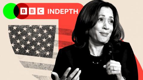 A treated image showing Kamala Harris shrugging and the stars and stripes flag