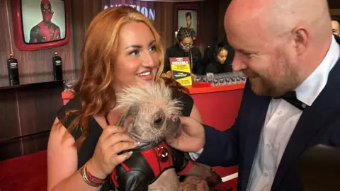 Holly Middleton A smiling Holly Middleton, who wears a black dress, holds her dog Peggy, who is wearing a black and red superhero costume, while her husband Luke, who wears a dinner jacket and white shirt, tickets Peggy's chin.