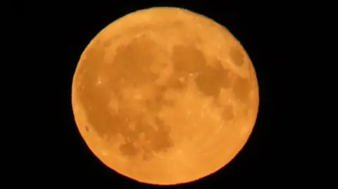 Maz Full orange moon with dark patches