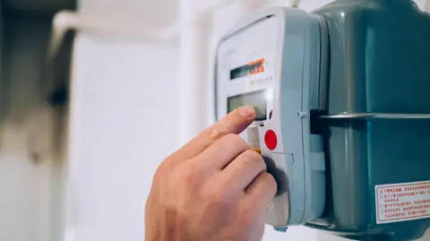 A person presses a button on an energy meter in a home