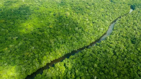 Larissa Rodrigues Aerial view of the Brazilian Amazon rainforest