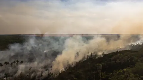 Thiago Foresti Fire in Brazil's Cerrado near croplands