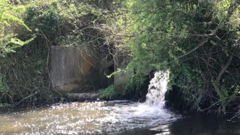 BBC Sewage pipe going into River Coln, Fairford in Gloucestershire