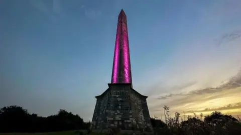 Dorset and Somerset Air Ambulance The obelisk of Wellington Monument lit up pink