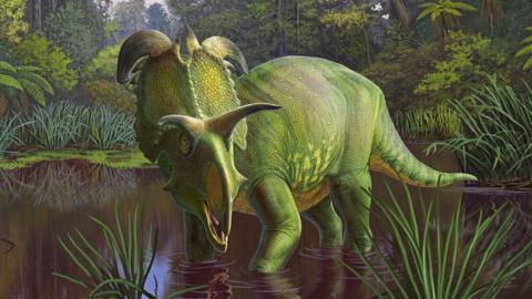 lokiceratops dinosaur artist's impression
