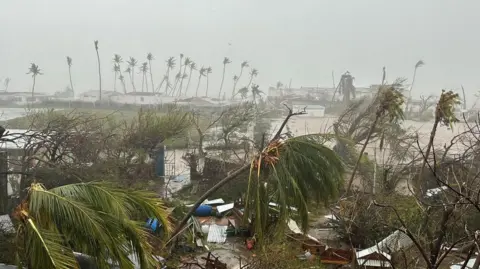 Damaged buildings and trees in St. Vincent and the Grenadines