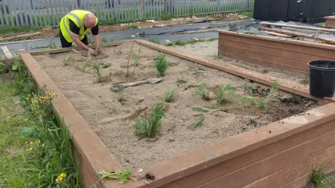 Man planting in a bed at Hope Alloment