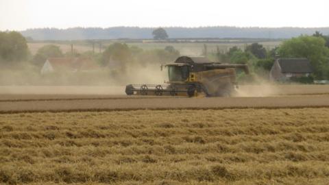 A harvester can be seen in a field with a plume of dust coming from it moving over the field - it's a sunny day with trees and farmhouse-type buildings in the background