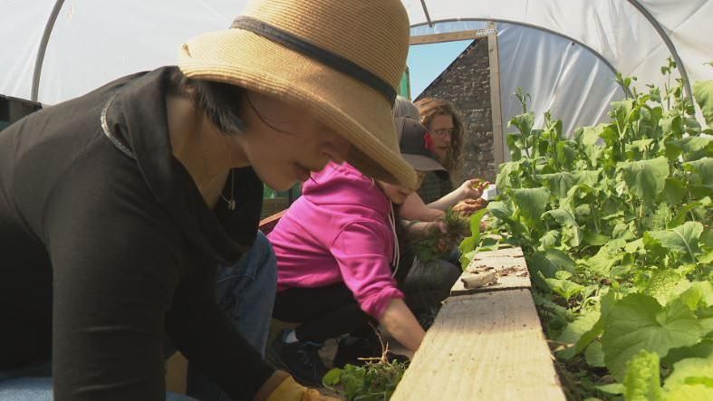 Community garden