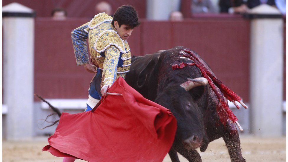 Matador and bull