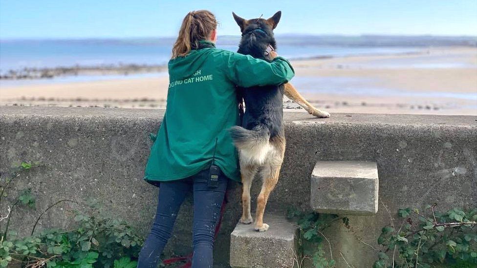 Edinburgh Dog and Cat Home