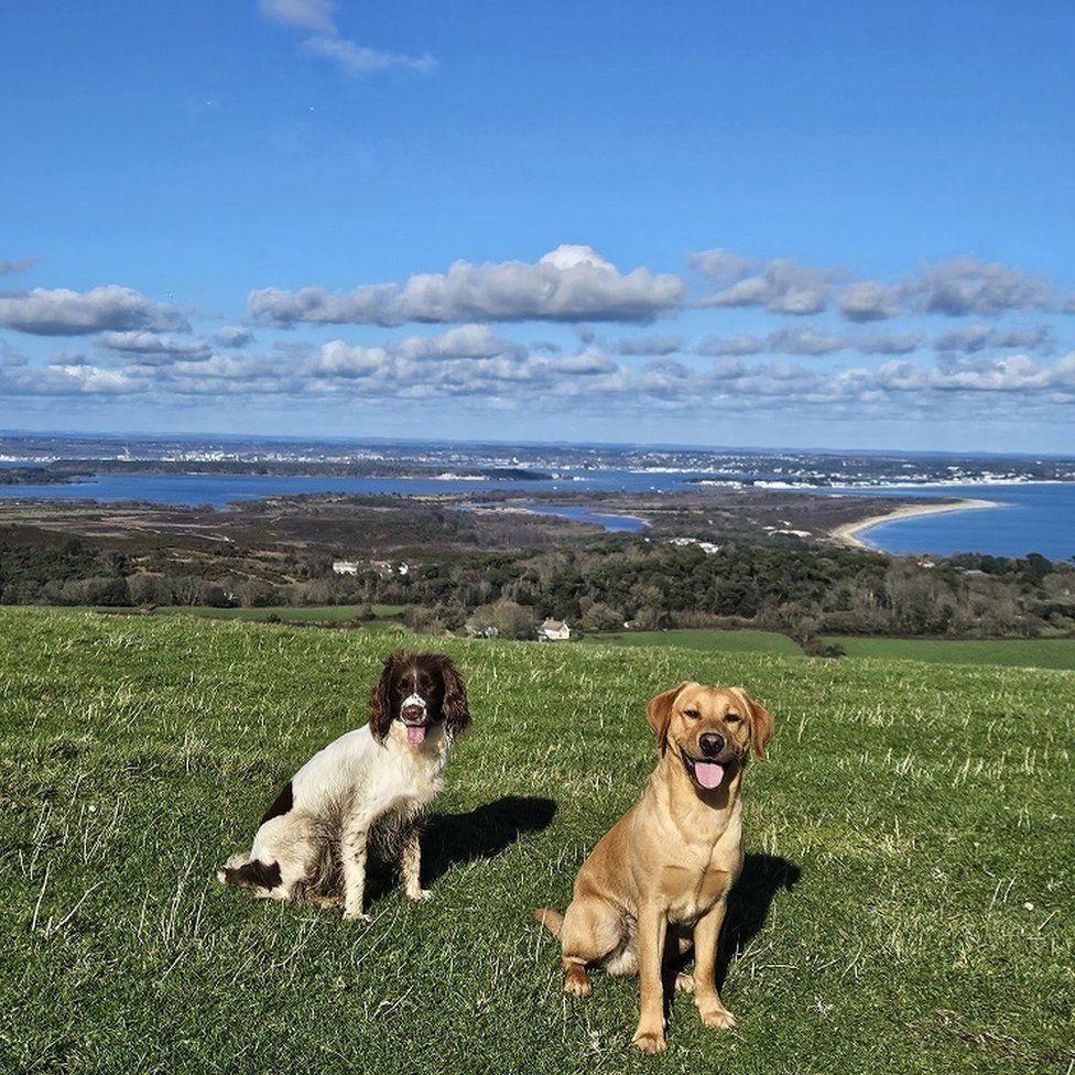 MONDAY - Ballard Down