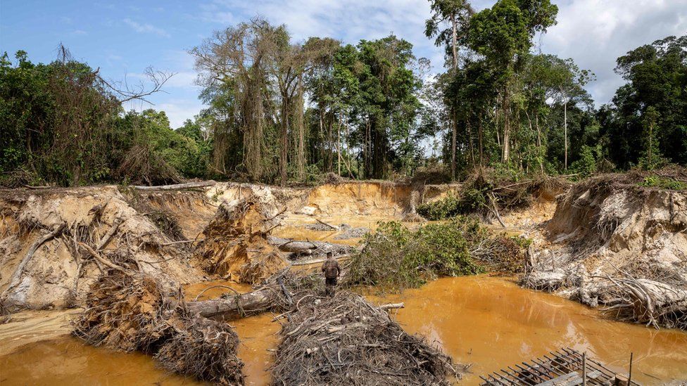 A large illegal mining site discovered by French forces shows deforestation in French Guiana