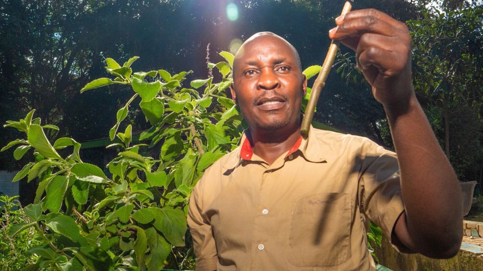 Man looking at a plant