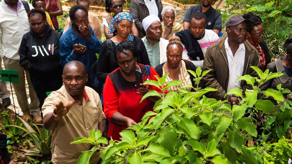 A man pointing at a plant with others gathered around him