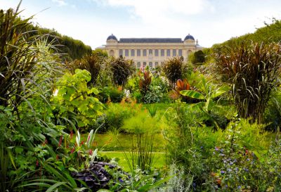 Jardin des Plantes © MNHN - Jérôme Munier