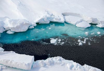 Mers australes - Antarctique © MNHN - Sophie Mouge