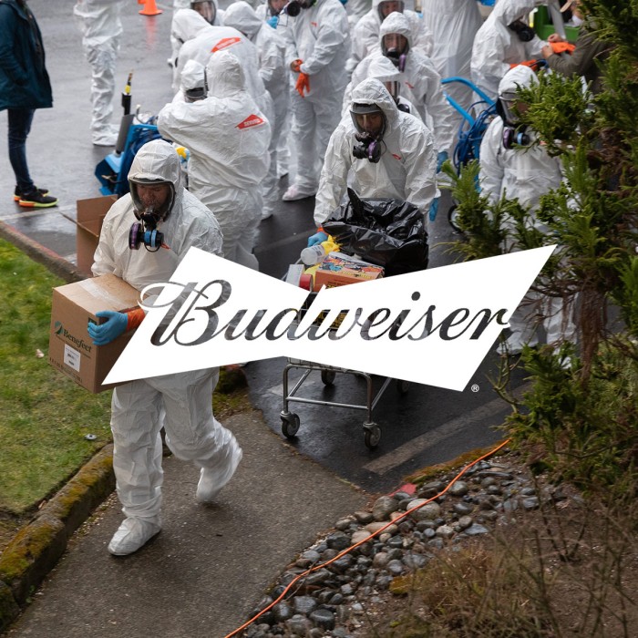 Budweiser Case Study