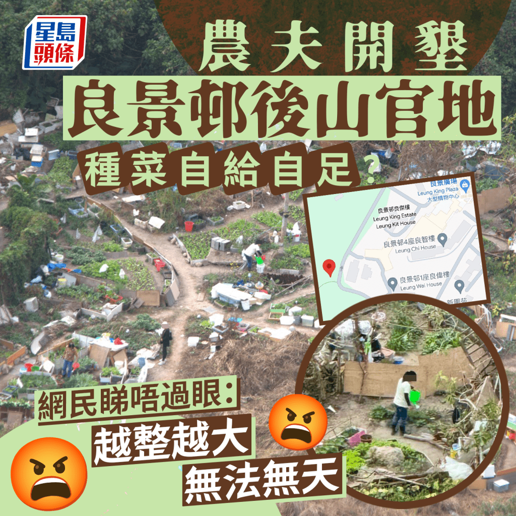 開墾屯門良景邨後山官地種有機菜？ 網民嬲嬲：無法無天 地政總署指......