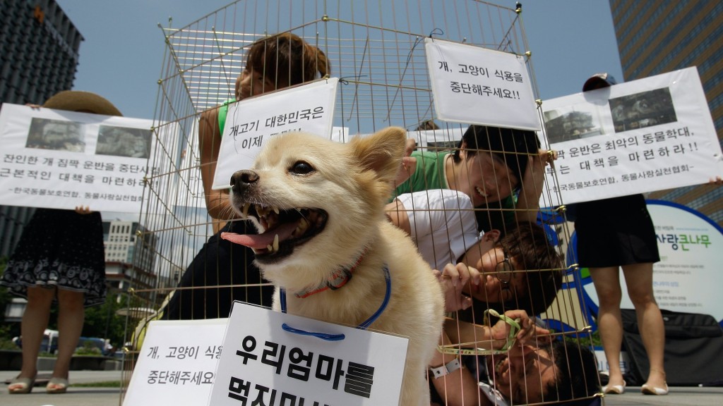 南韓國會朝、野黨派都同意推動立法禁吃夠肉。網上圖片